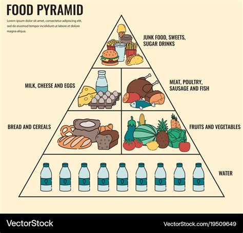 Food pyramid healthy eating infographic healthy Vector Image