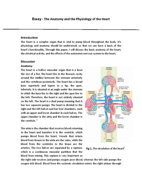 Physiology And Anatomy Of Heart - Anatomical Charts & Posters