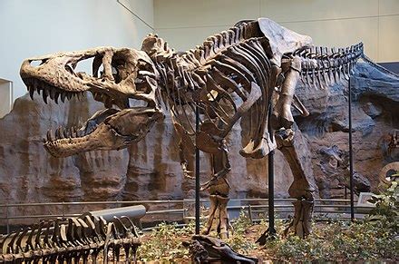 Paleogenetics - Wikipedia