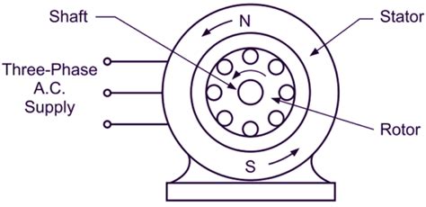 What is 3 Phase Induction Motor? Diagram, Working & Types - ElectricalWorkbook