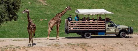 San Diego Zoo and Safari Park: Differences, Tickets, Hours & Directions