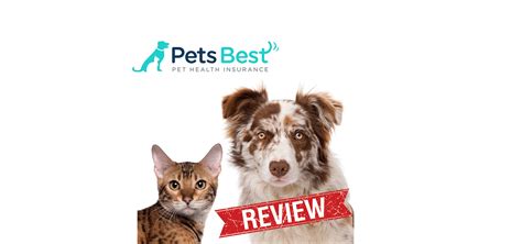 Pets Best Reviews [2017 Vet-Verified UPDATE]: See Cost & Coverage