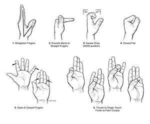 Tendon Glide Exercises: workout for your hands Arthritis Exercises, Rheumatoid Arthritis ...