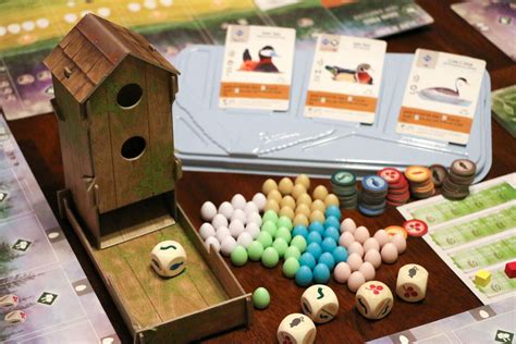 Wanna Play? Bird-Themed Games for the Whole Family – Chirp Nature Center