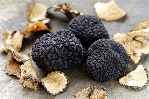 Everything You Wanted To Know About Black Summer Truffles