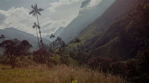 Time-Lapse Tuesday: Cloud Forest in Colombia - G Adventures