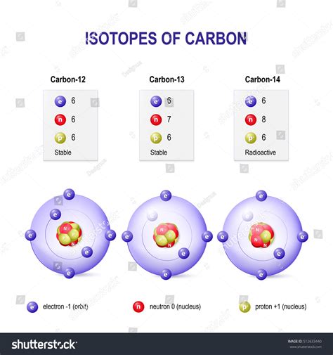 Isotopes Carbon Diagram Comparing Carbon Atoms: Vector có sẵn (miễn phí ...