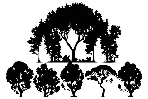 trees and forest silhouettes set isolated vector illustration 20919974 ...