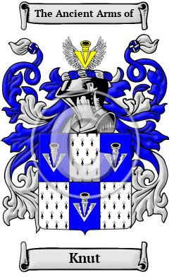 Knut Name Meaning, Family History, Family Crest & Coats of Arms, English