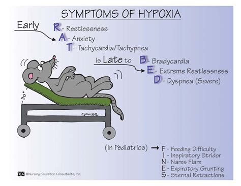 Symptoms Of Hypoxia In Elderly