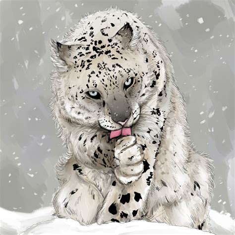 Snow Leopard for Vulnerable Animals Week by grossfoots on Newgrounds