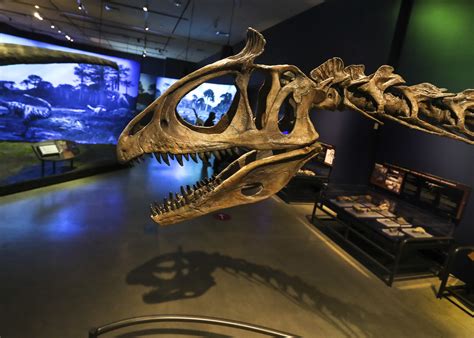 Natural History Museum of Utah launches accessible tours