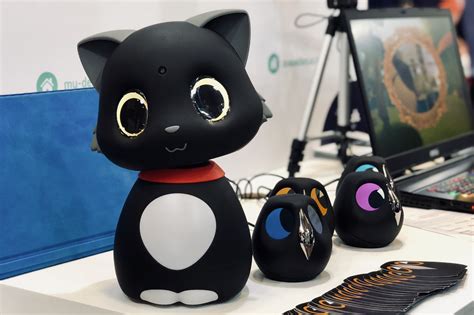 Ekasbo’s Matebot cat robot – TechCrunch