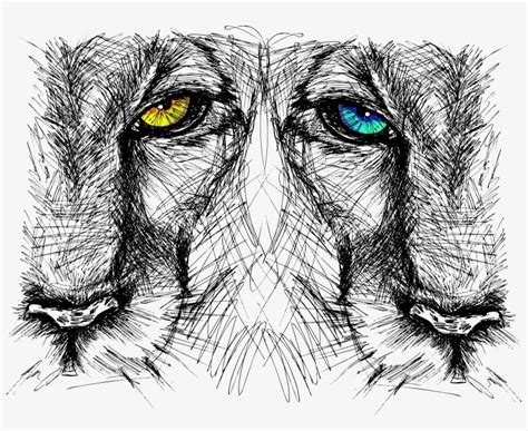 Lion Eye Drawing