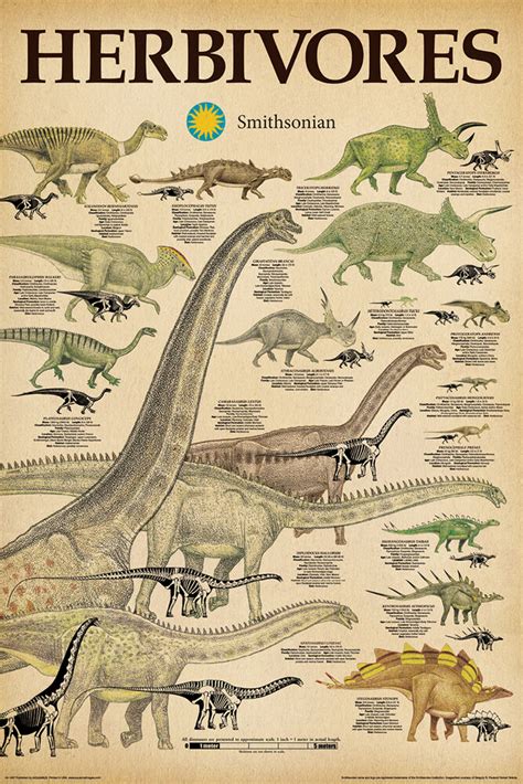 Smithsonian Dinosaurs Herbivores Poster — Poster Plus Australia