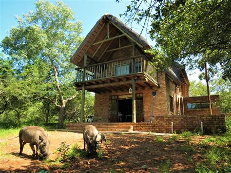 Mindara Lodge - Marloth Park Has Washer and Patio - UPDATED 2024 - Tripadvisor - Marloth Park ...