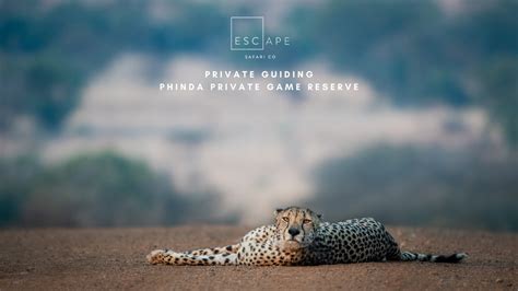 Privately Guided Safari to Phinda Private Game Reserve