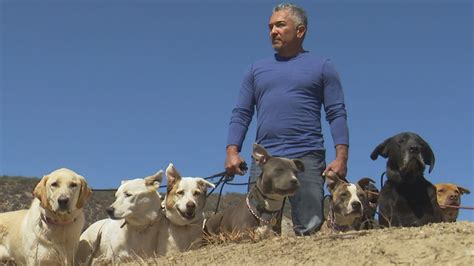 Cesar Millan helps veteran with PTSD on 'Dog Nation' - TODAY.com