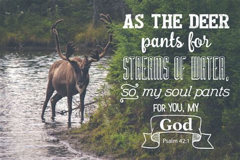 My Soul Pants For You – Psalm 42:1 – Seeds of Faith