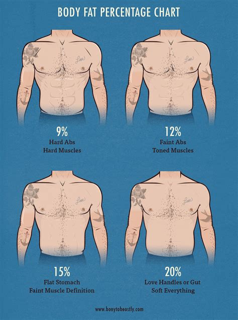 Overweight Definition Body Fat Percentage - Aljism Blog