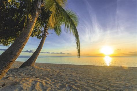 Top things to do in Fiji | Flight Centre NZ