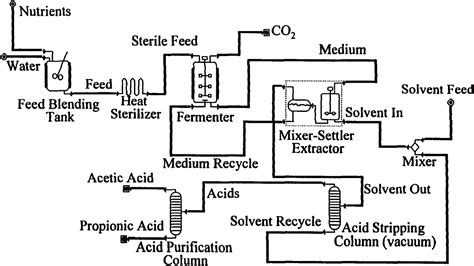 Process development of propionic acid production by fermentation ...