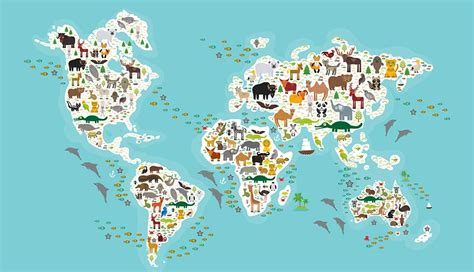 Distribution of plants and animals