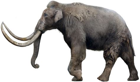 Steppe mammoth | SciiFii Wiki | Fandom