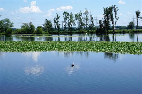 River Danube at Ulm 1271523 Stock Photo at Vecteezy