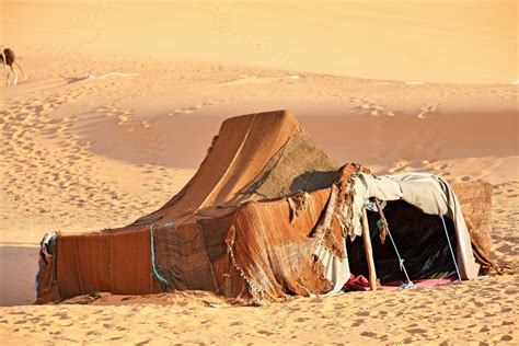 tent-berber-sahara.jpg — Are.na