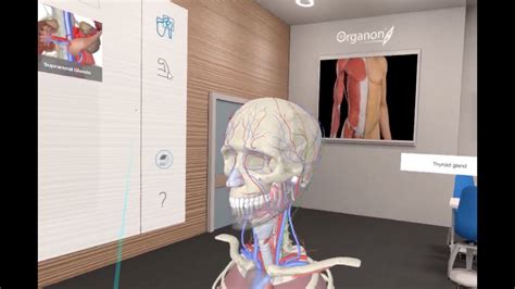 Virtual Reality In Human Anatomy Course - YouTube