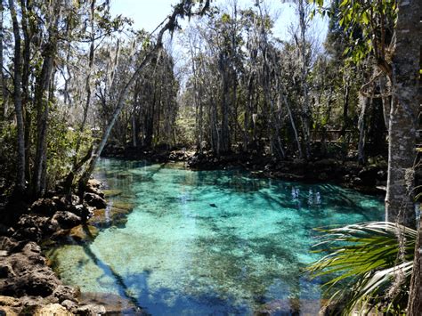 Best Hiking In Florida - Buddy The Traveling Monkey