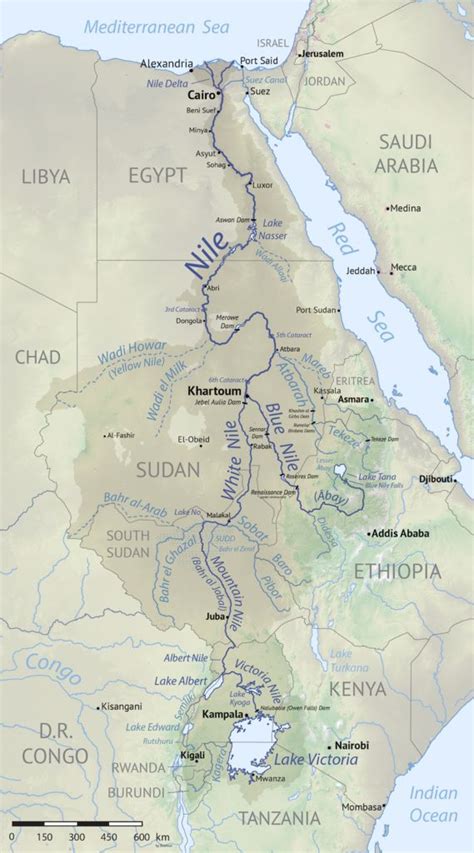 Nile - Wikipedia in 2023 | Nile river, Bible mapping, Nile river project