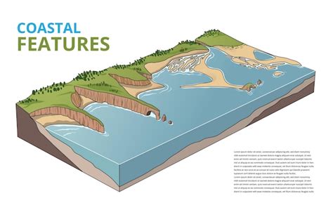 Premium Vector | Coastal features diagram