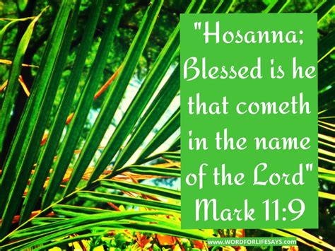 Jesus’ Triumphal Entry – Word For Life Says…