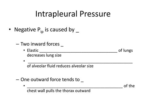 PPT - Intrapulmonary Pressure PowerPoint Presentation, free download ...