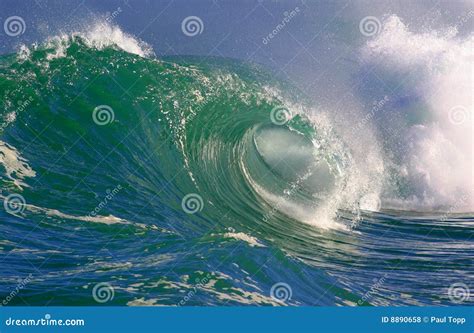 Surfing Waves Hawaii stock photo. Image of hawaiian, risks - 8890658