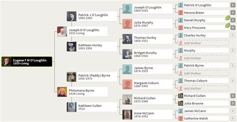 The Cullens Family Tree