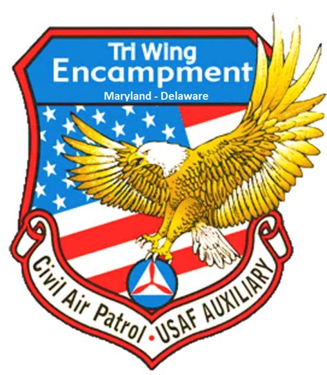 Meet your 2024 Summer Tri-Wing Senior Executive Cadre | Summer News | Tri-Wing Encampment ...