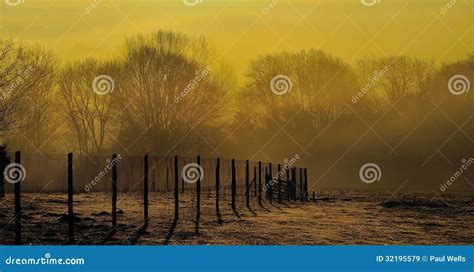 Yellow Haze stock image. Image of gold, nonurban, landscape - 32195579