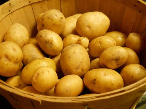 Yukon Gold Potatoes - Lake Tahoe Markets