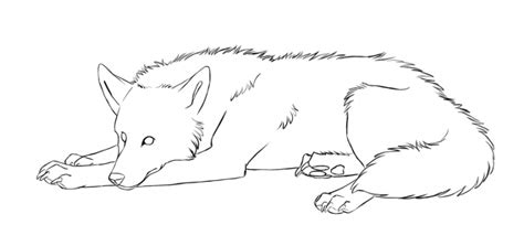 Step By Step Wolf Drawing at GetDrawings | Free download