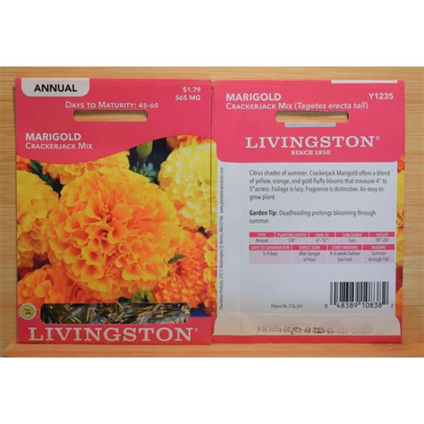 MARIGOLD (SEED) | Sunshine Garden Center and The Flower Room