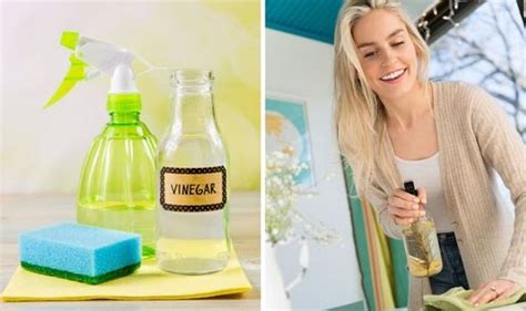 White vinegar for cleaning: Is white vinegar antibacterial? | Express.co.uk