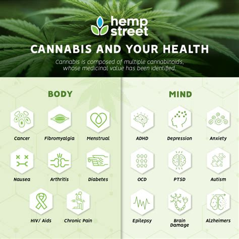 Surprising Health Benefits of Medical Cannabis - Hempstreet