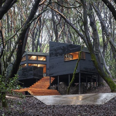 The Forest House In Northern California - IGNANT