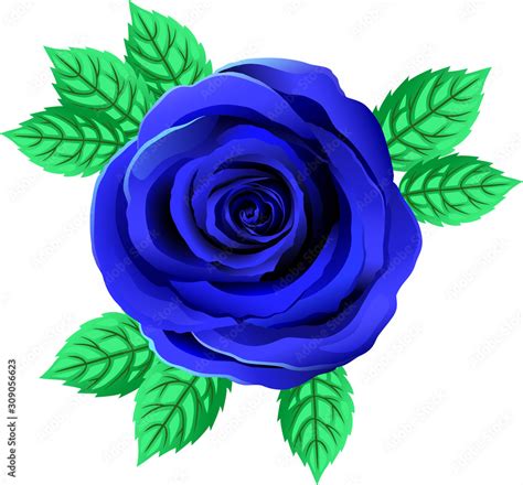 Vector Bright Blue Rose Flower. Rose Clipart With Petals And Leaf ...