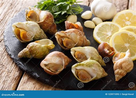 Raw Edible Sea Snails, Whelks Close-up and Lemon, Parsley, Garlic on a ...