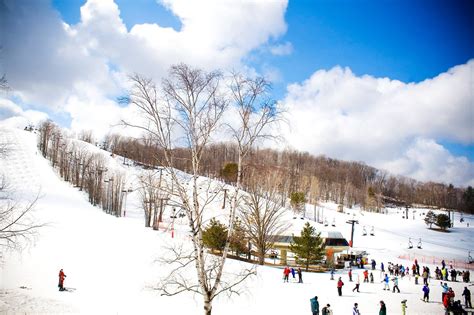 Horseshoe Resort Discount Lift Tickets & Passes | Liftopia