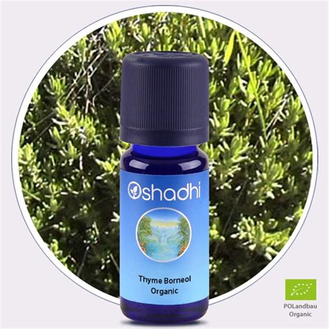 Thyme Borneol Organic Essential Oil - Oshadhi Essential Oils